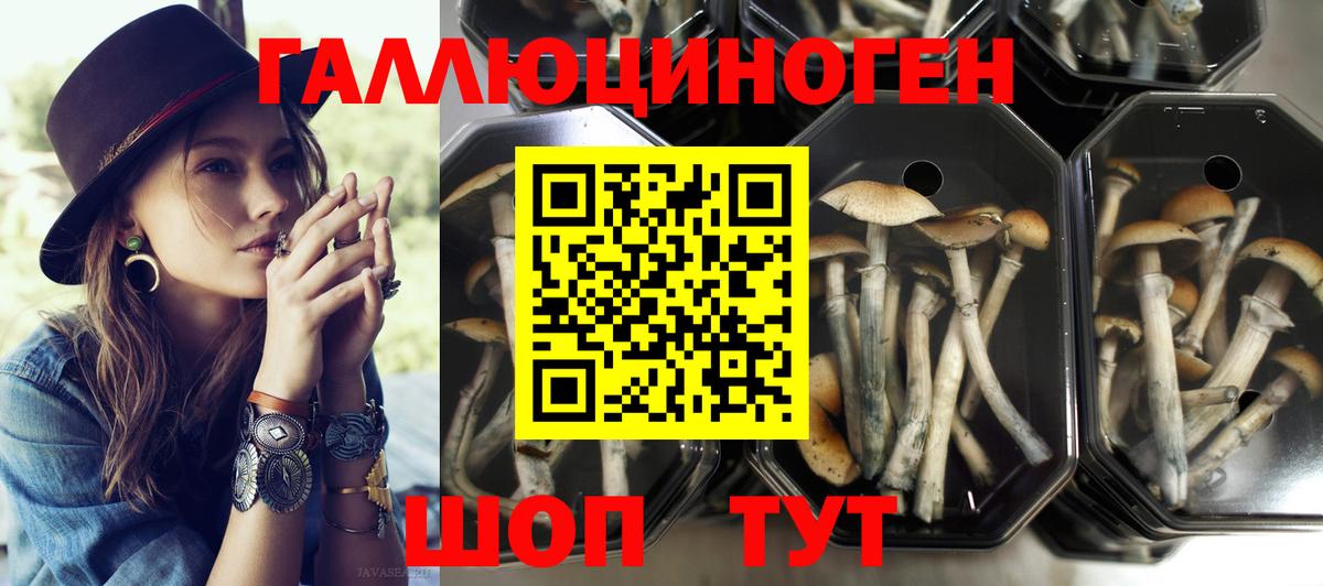 Галлюциногенные грибы GOLDEN TEACHER Саяногорск