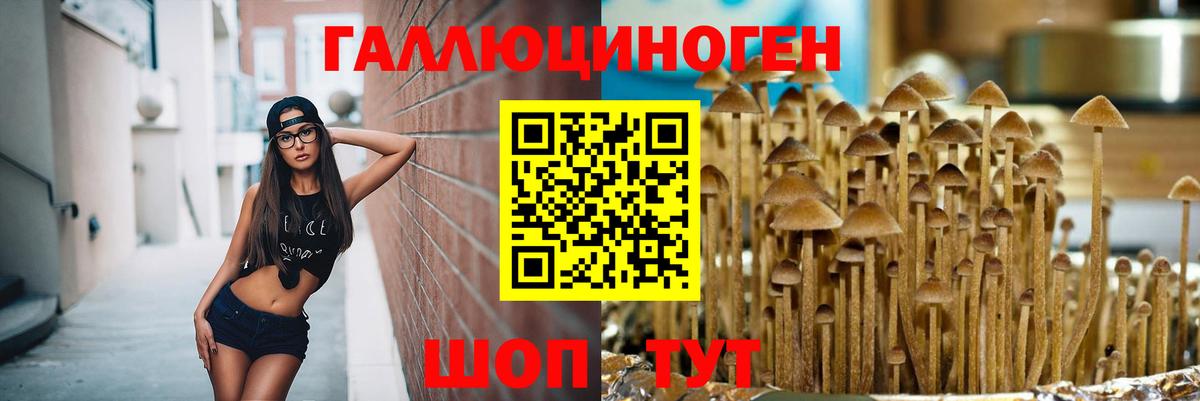 Саяногорск  Псилоцибиновые грибы ЛСД  Вход с VPN  Галлюциногенные грибы мухоморы 